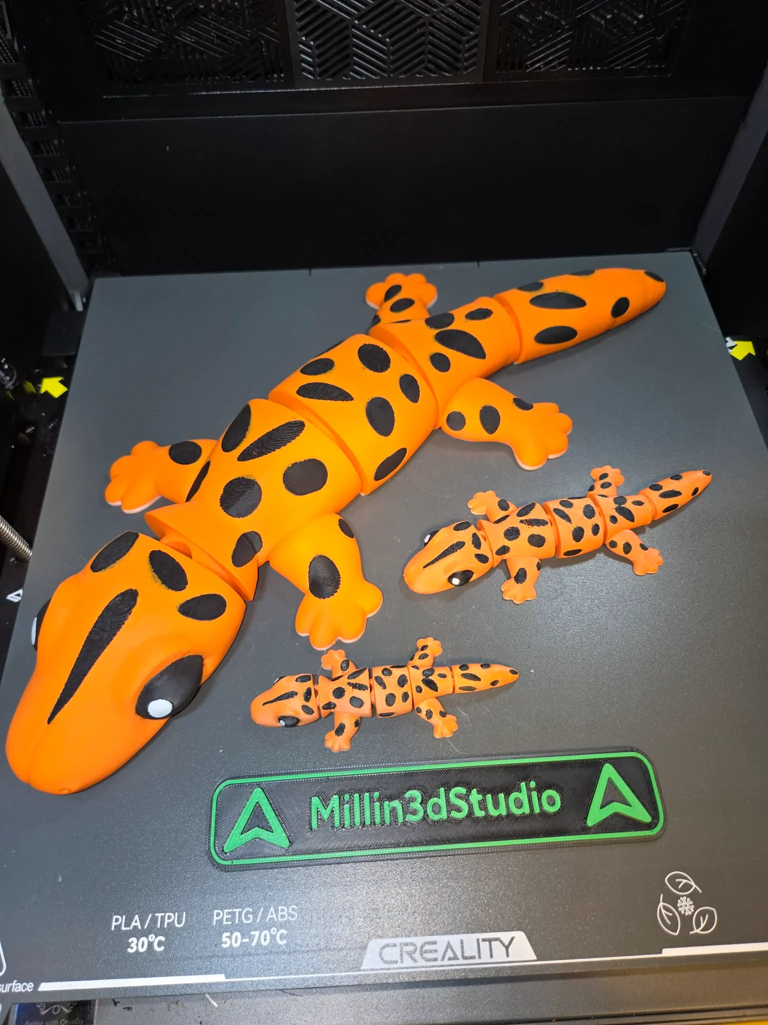 Cute Top Gear Articulated Gecko Lizard toy 3 sizes-1