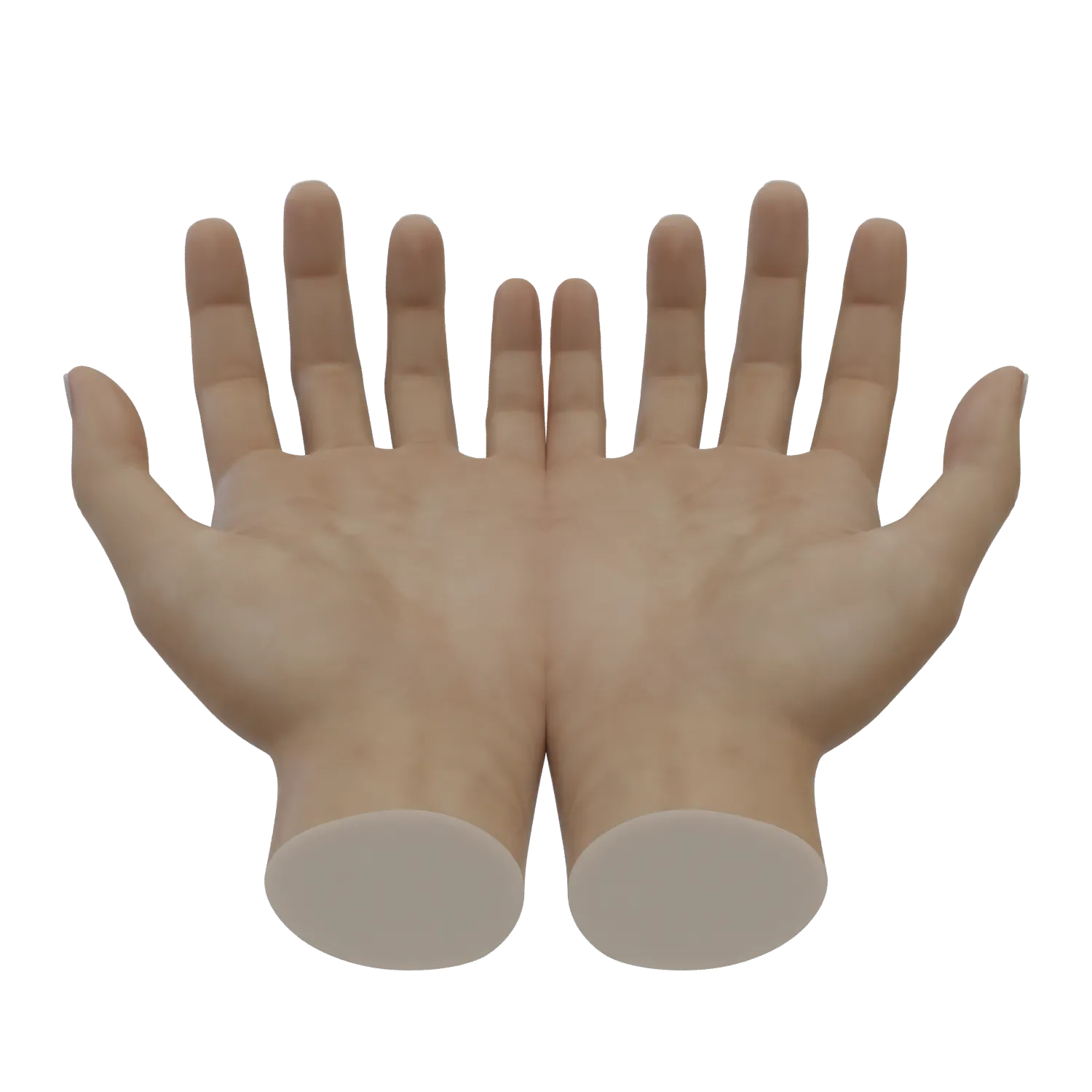 [FREE] Keyholder "Receiving Hands" Decorative Sculpture