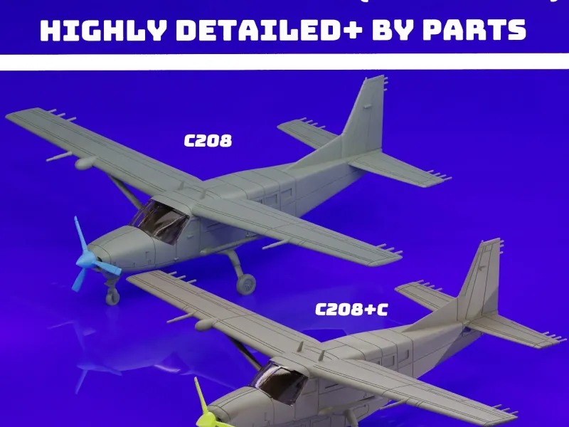 CESSNA 208 CARAVAN (PASSENGERS) (2 IN 1) V3