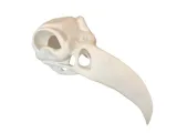 Casco Khonshu indossabile Modello 3D File STL-0