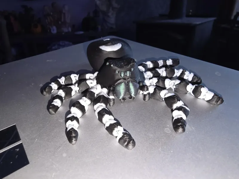 Bold Jumping spider