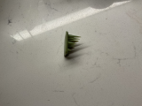 Fine Features Test-3