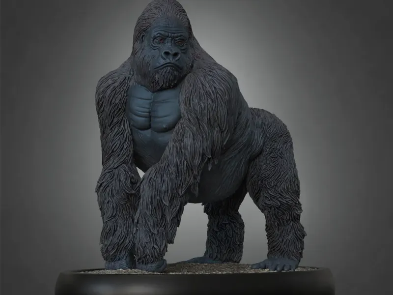 Gorilla