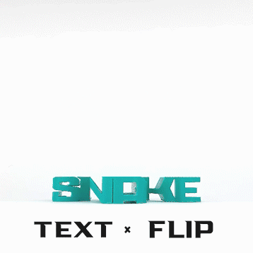 Text Flip - Snake 3d model