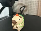 Capybara-1
