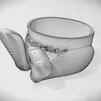 Easter Egg Holder-1