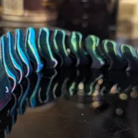 moray eel fish-2