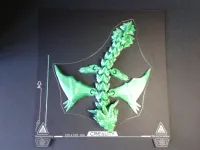 Amphiptere Flexible Baby Dragon-7