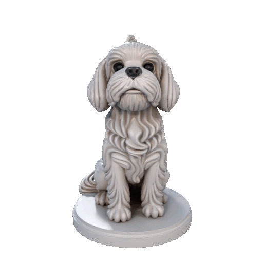 Shih Tzu