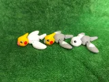 Mini Cockatiel-4