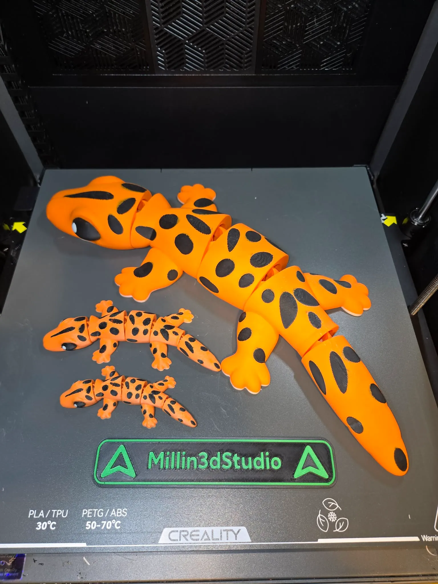 Cute Top Gear Articulated Gecko Lizard toy 3 sizes-5