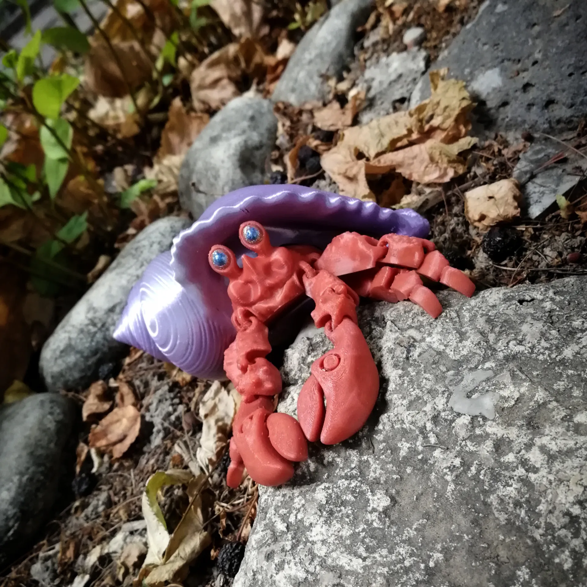 Hermit crab (cute, semi-realistic)