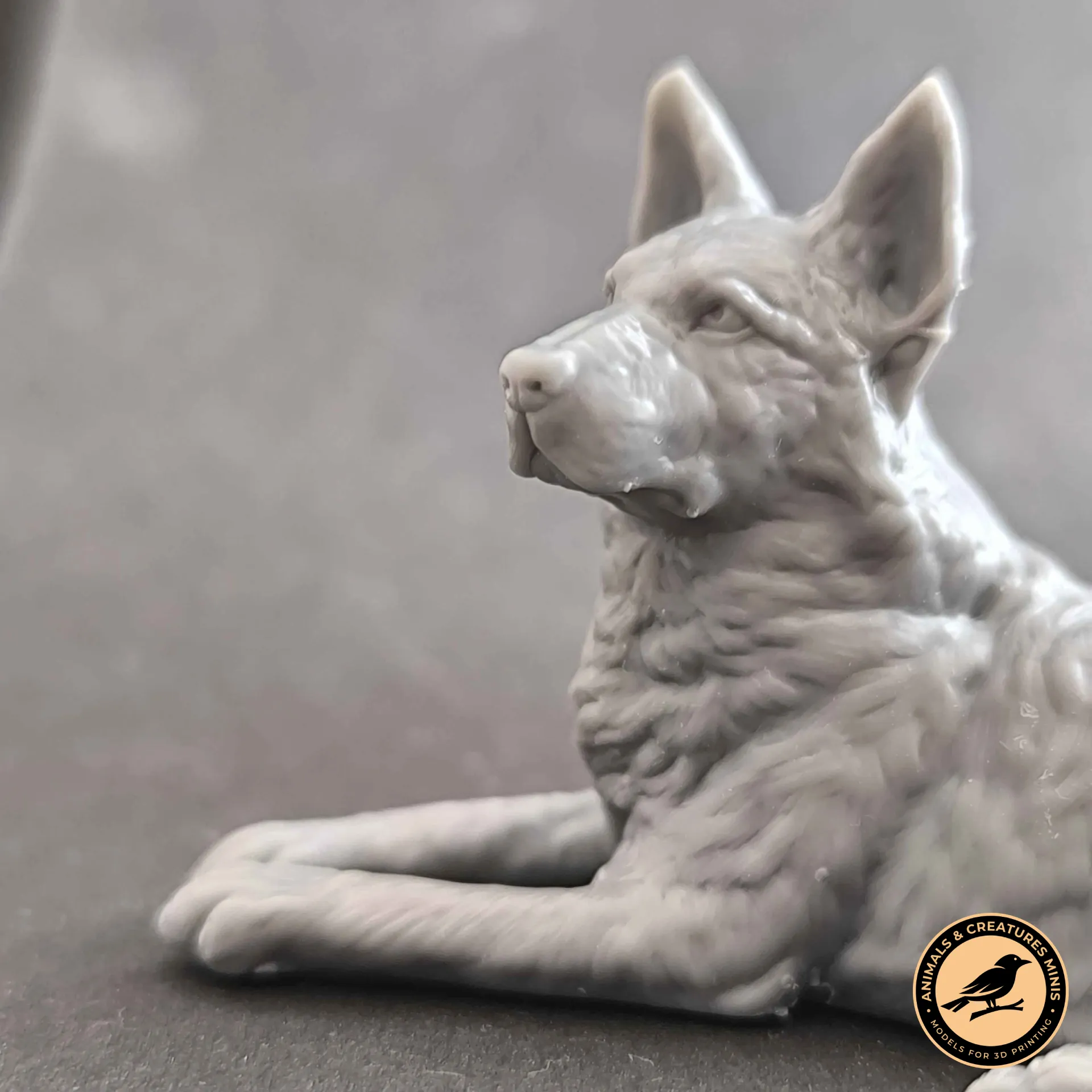 German shepherd
