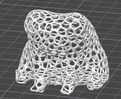 Freg the Voronoi Frog