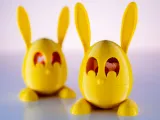 Hoppity Egg – Tiny legs, big secrets!-0