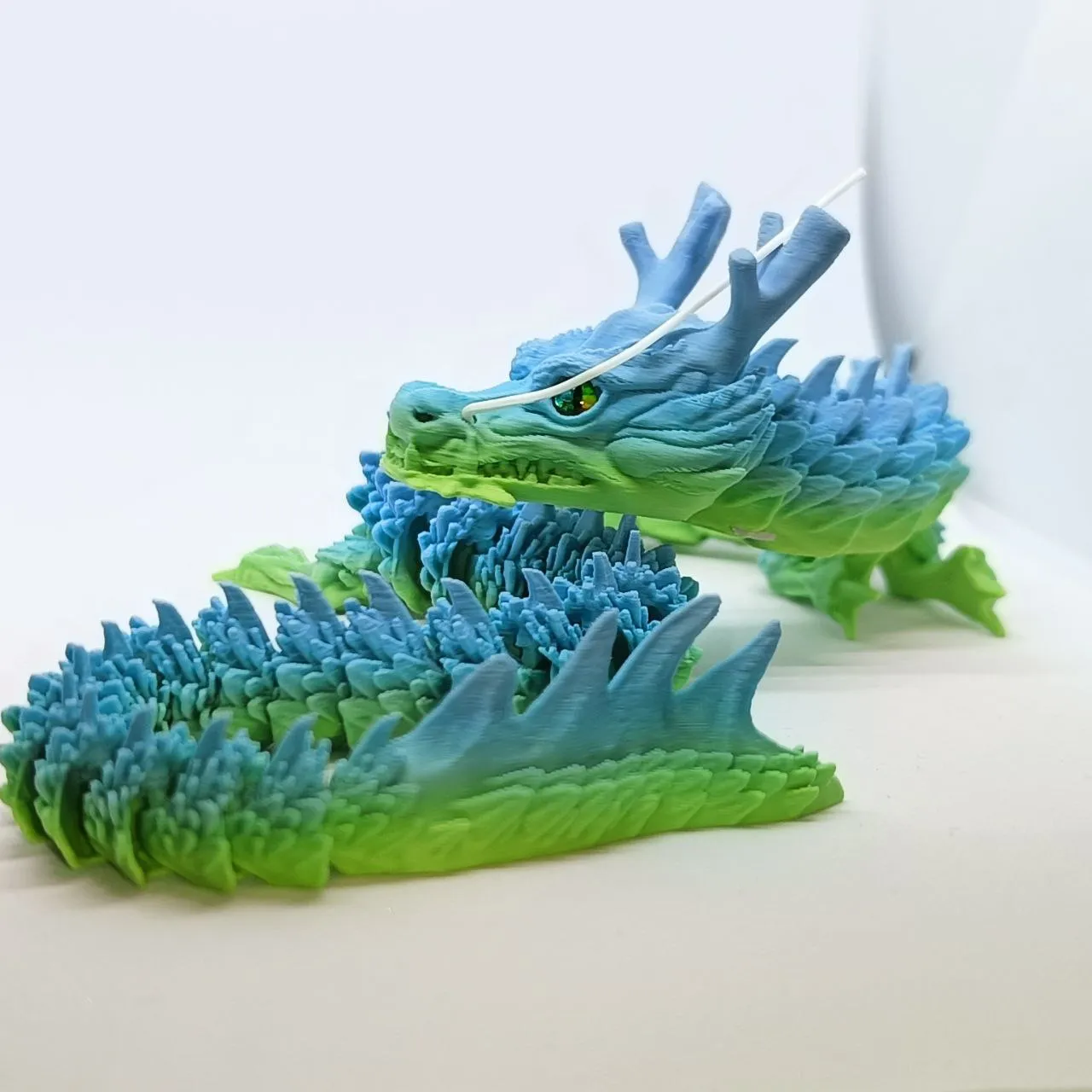 The Chinese Articulated Dragon