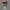 Funko Taylor Swift