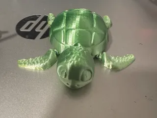turtle