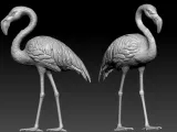 Crane model - flamingos urban vibes-3