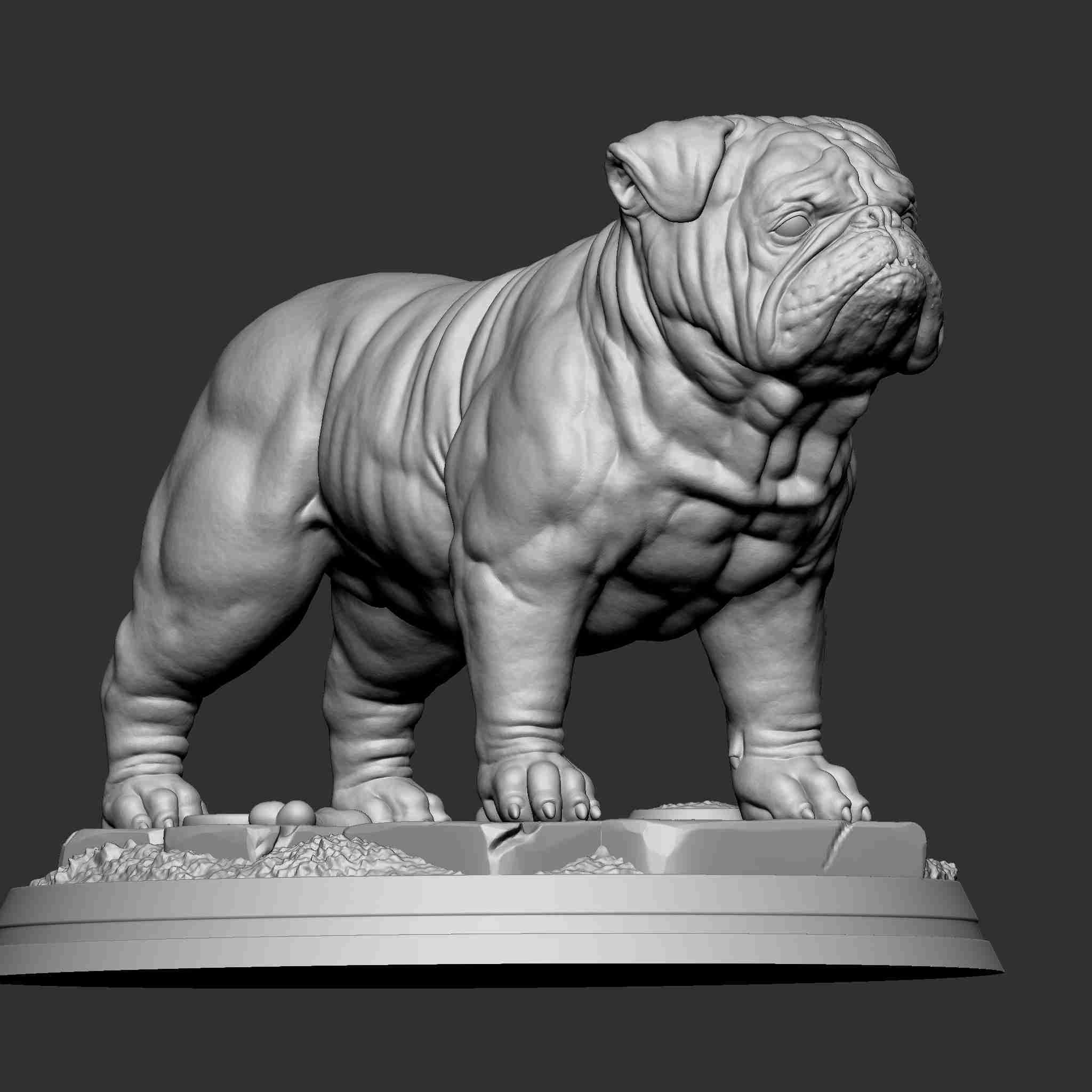 Cleveland Browns Bulldog 2 - 3D Model by RogerDS