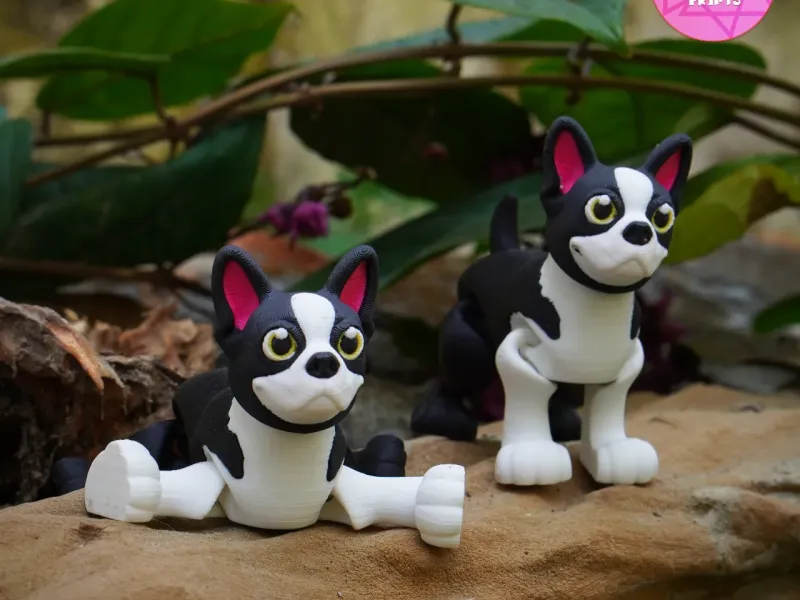 IMPRIMIR NO LOCAL CACHORRINHO FLEXI BOSTON TERRIER FOFO