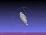 Dune Thumper-1