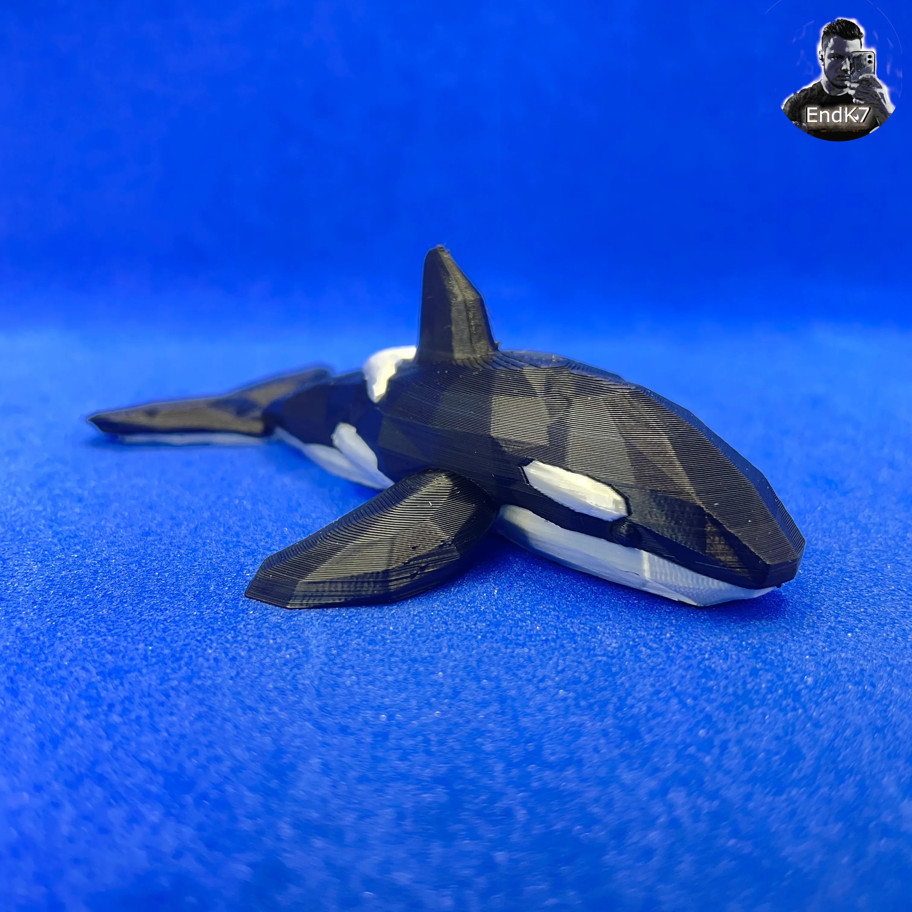 Flexi Orca Whale - Low Poly - Articulated - Print in Place