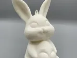 Easter Bunny-5