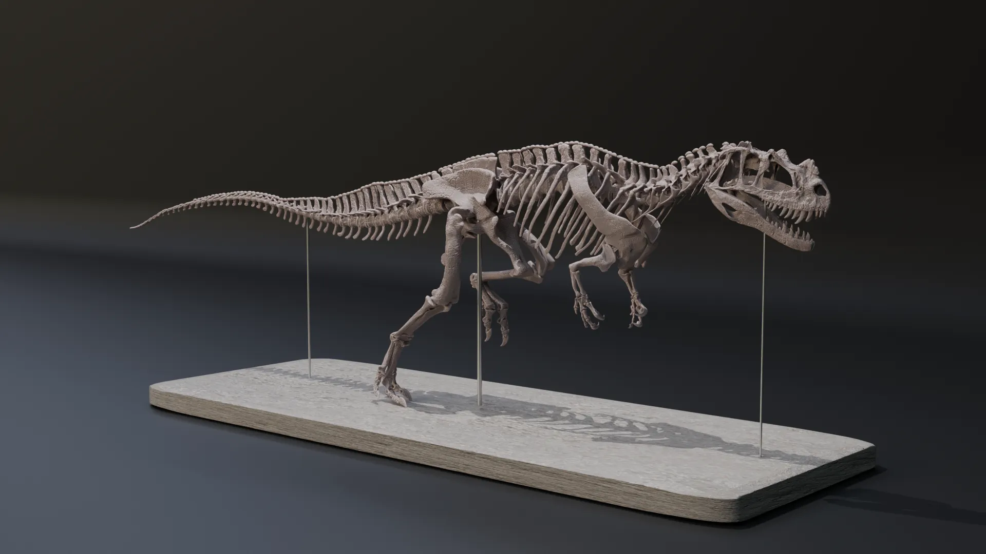 Ceratosaurus nasicornis skeleton