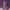Flexi Twilight Sparkle | My Little Pony