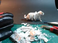 Text Flip - Tiger 2.0-8