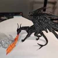 Black Dragon-6