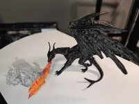 Black Dragon-6