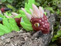 Strawberry Dragon-0