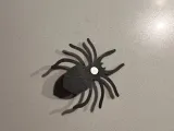 Ragno di Halloween-3