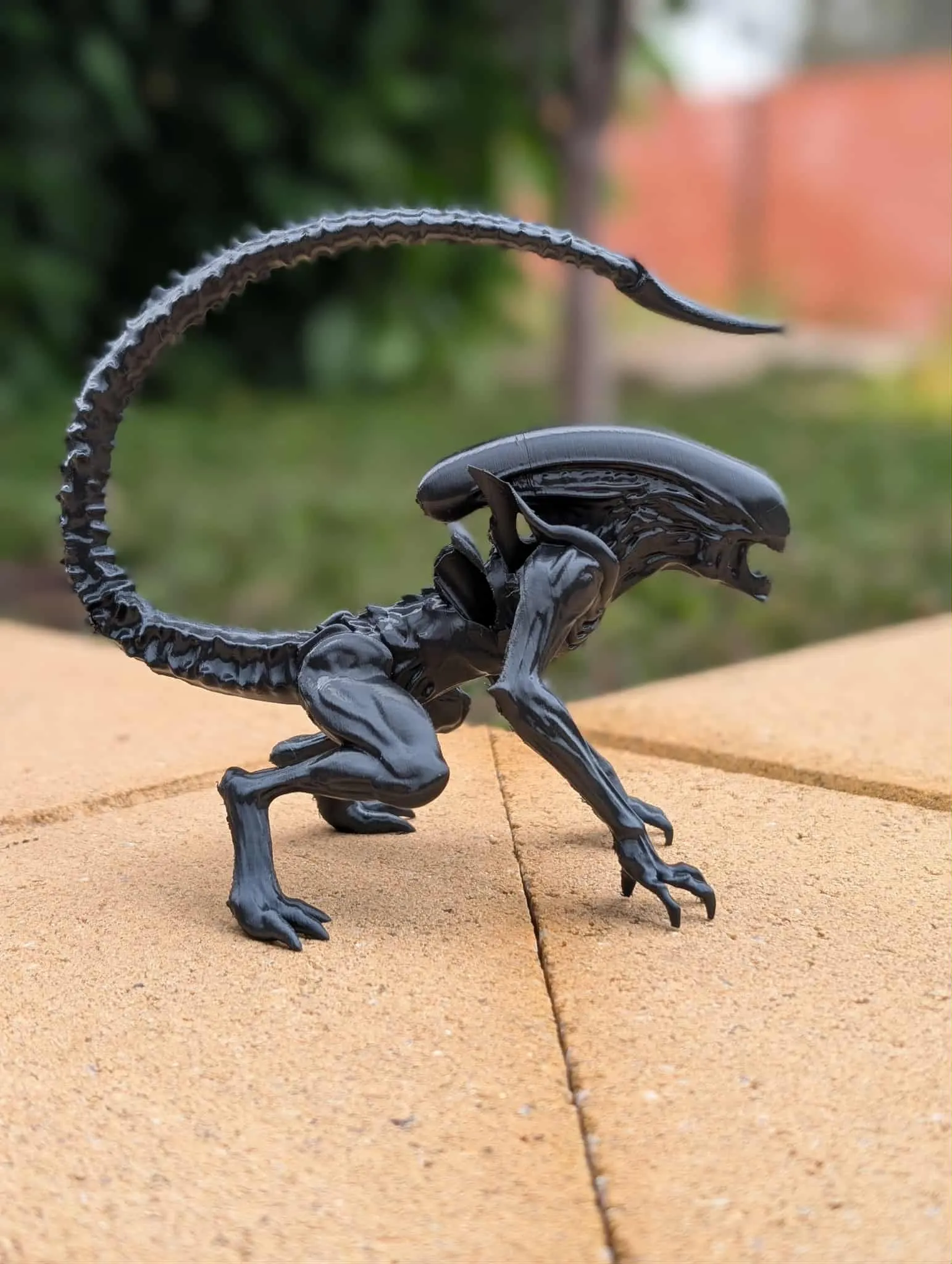 xenomorfo-5