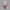 Funko Zero Two - Darling in the Franxx