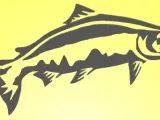 Salmon stencil-0