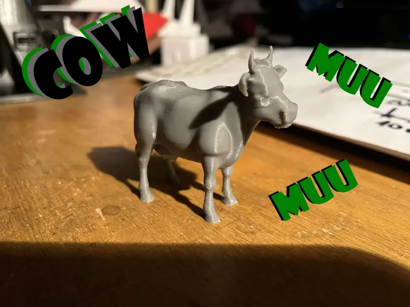 Domestic cow