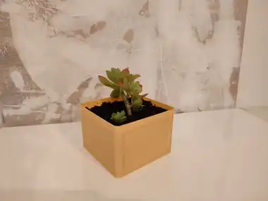 Planter-0