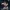 Predone Sinblade B