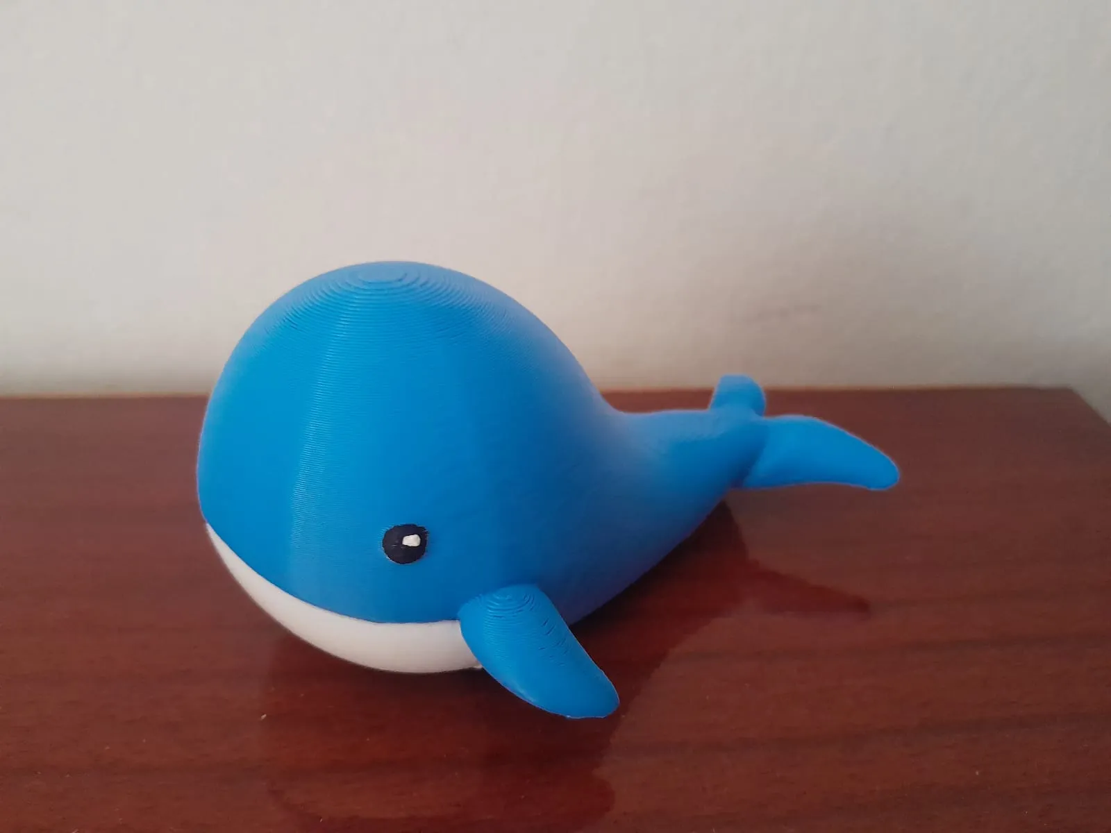 Cute whale multicolor-0
