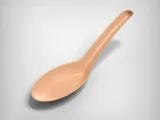 Soup Spoon-1