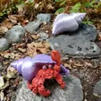 Hermit crab (cute, semi-realistic)