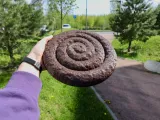 Frisbee poop-2