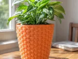 FLOWER POT-1