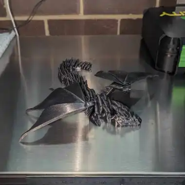Silver Dragon-0