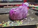 The Whispering Mane Planter-2