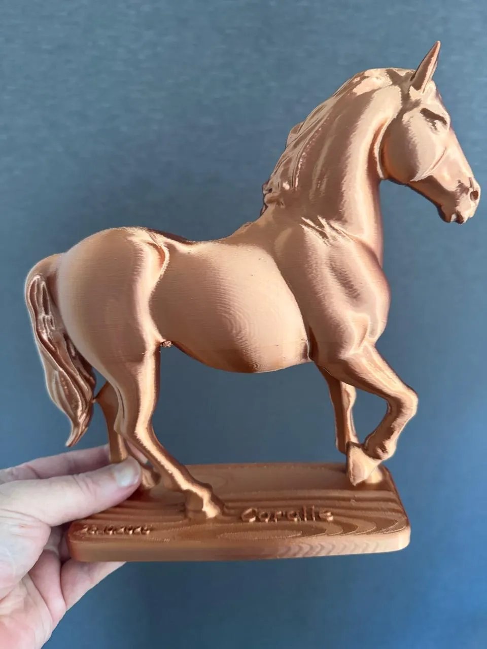horse-4