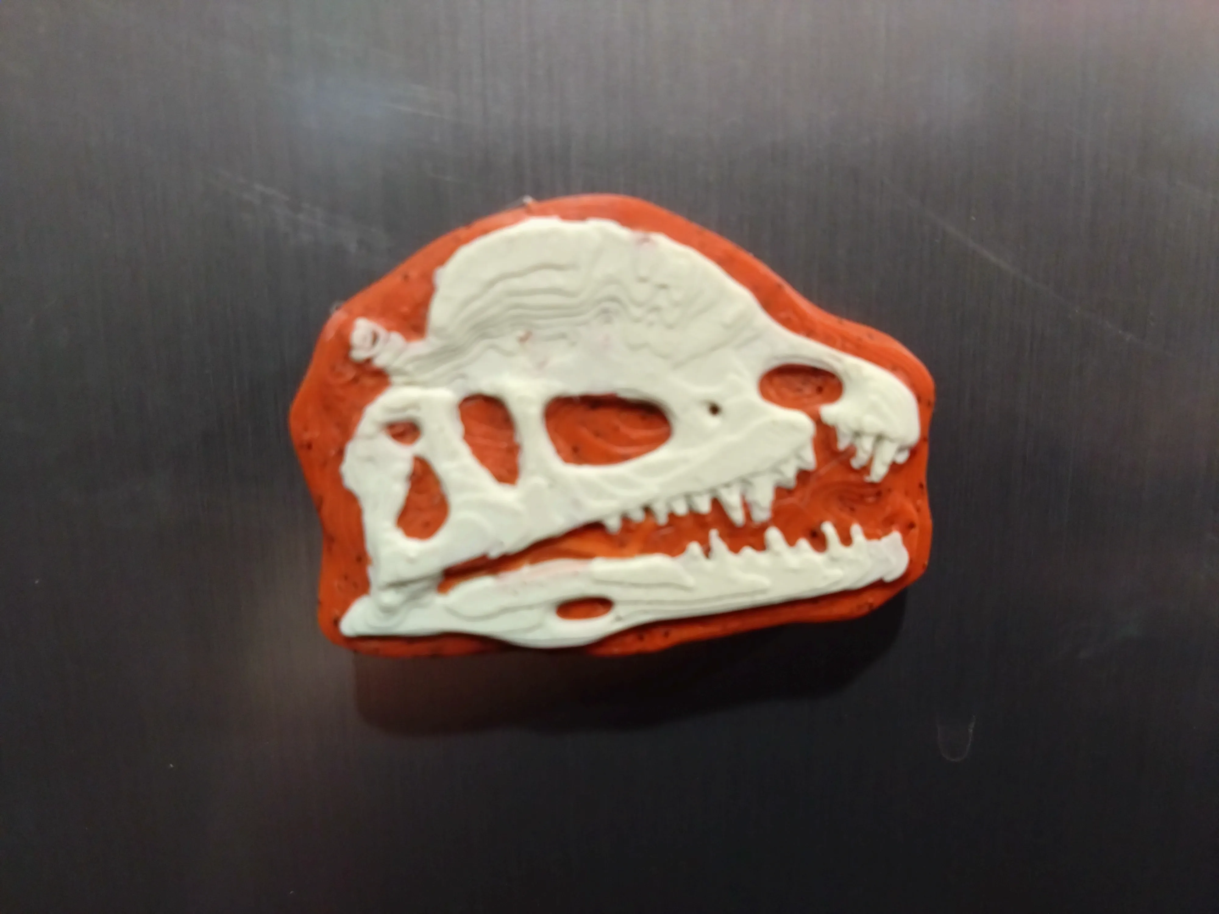 Dinosaur Fossil Skull Magnets